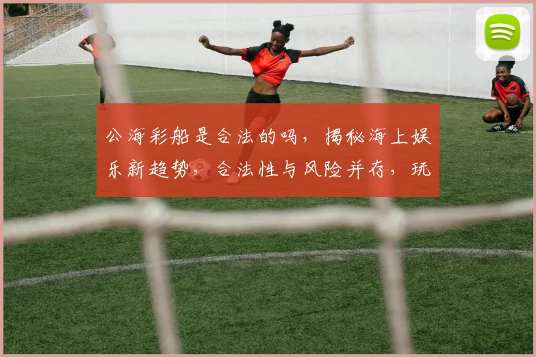 公海彩船是合法的吗，揭秘海上娱乐新趋势，合法性与风险并存，玩家需谨慎
