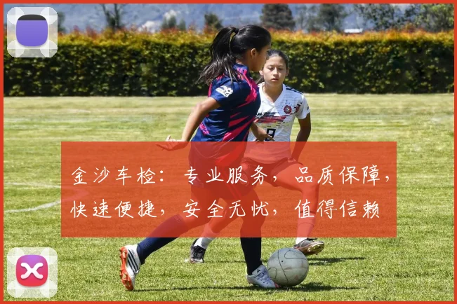 金沙车检：专业服务，品质保障，快速便捷，安全无忧，值得信赖