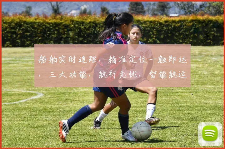 船舶实时追踪，精准定位一触即达，三大功能，航行无忧，智能航运助手，一搜即达。